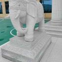 连云港 白麻花岗岩动物异形石雕-大象