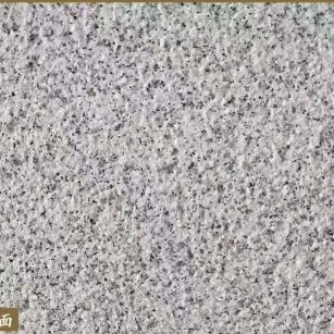 连云港白麻荔枝面