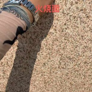 连云港黄金麻火烧面