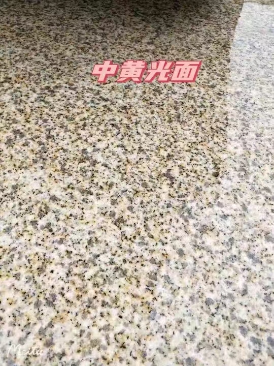 连云港黄金麻中黄光面