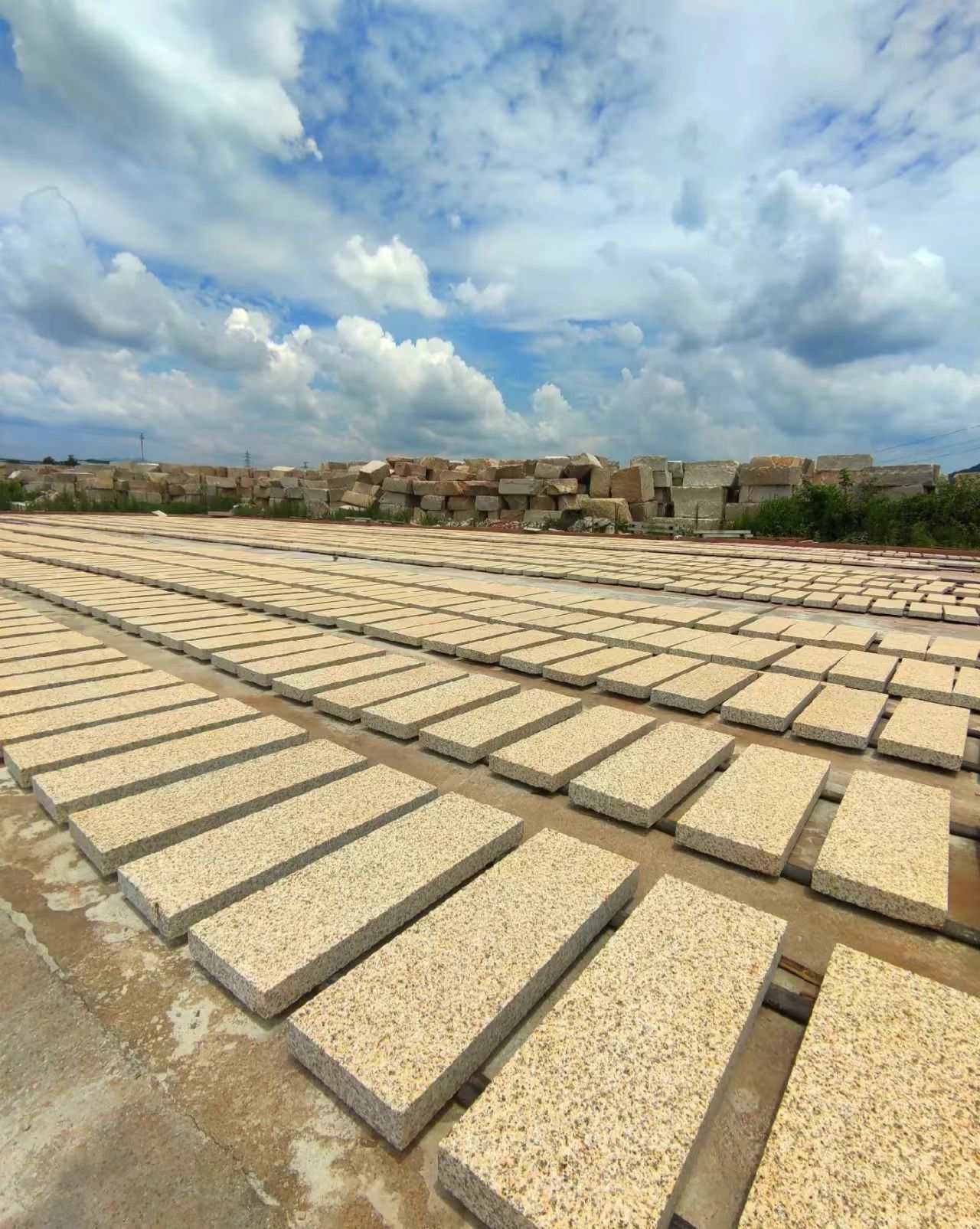 连云港 黄金麻花岗岩荔枝面地铺石防护中